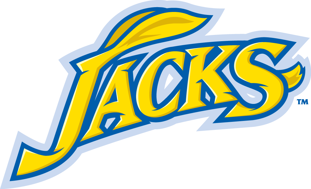 South Dakota State Jackrabbits 2008-Pres Wordmark Logo iron on transfers for T-shirts
